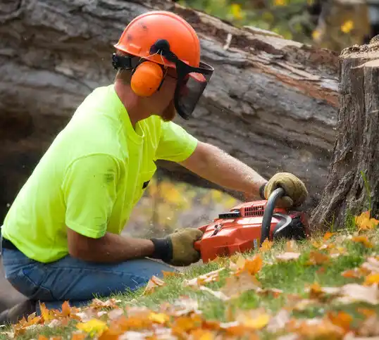 tree services Harmony